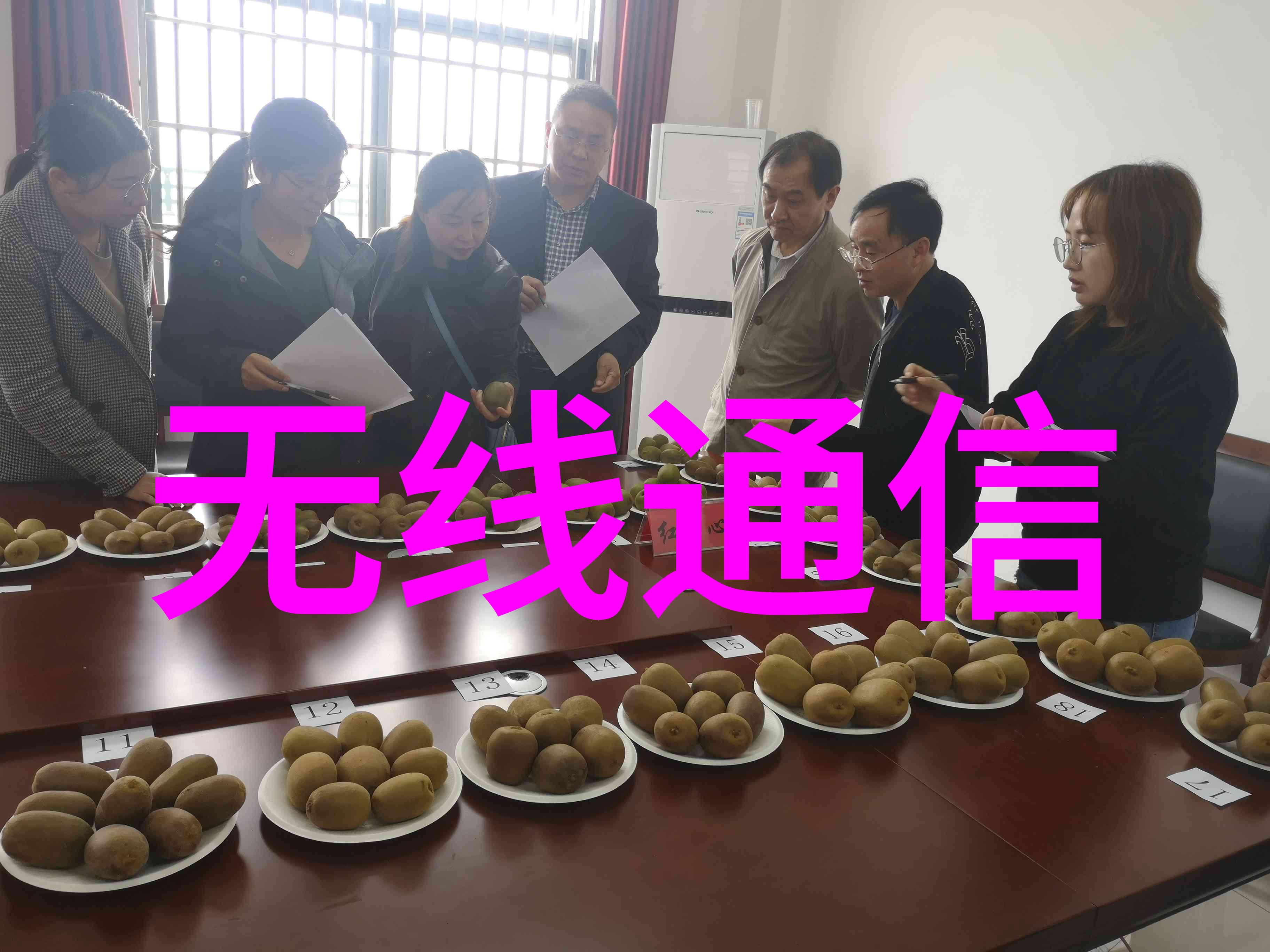 激光打孔阳性样品