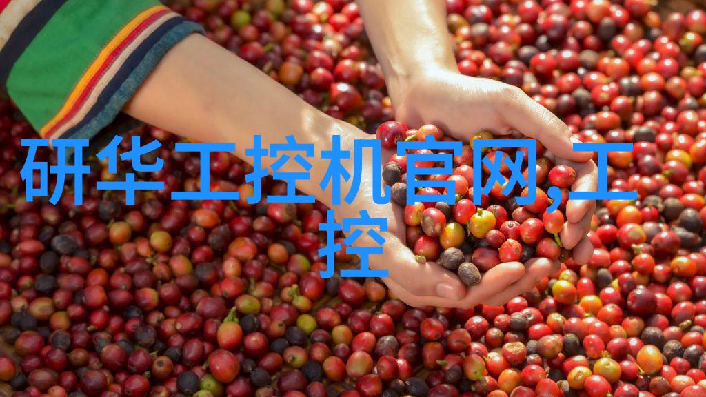 锤式旋风粉碎磨-Chopin-Gander