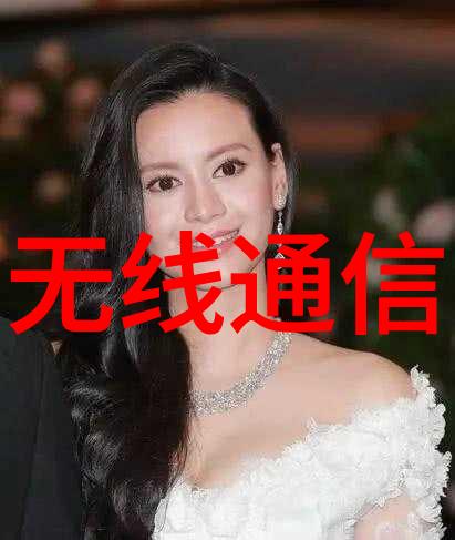 HD42X倒流防止器