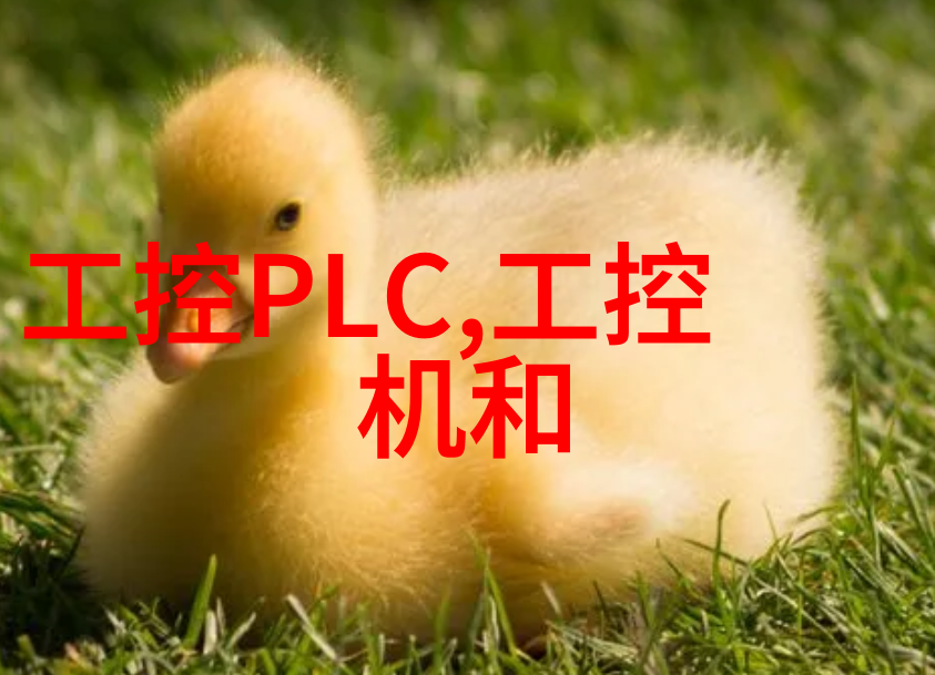 美国Coleparmer火焰光度计124通道